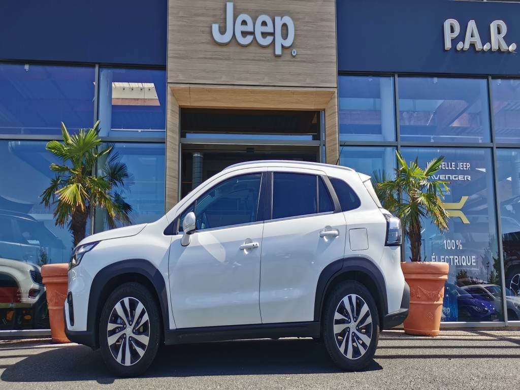 suzuki - Visuel 1