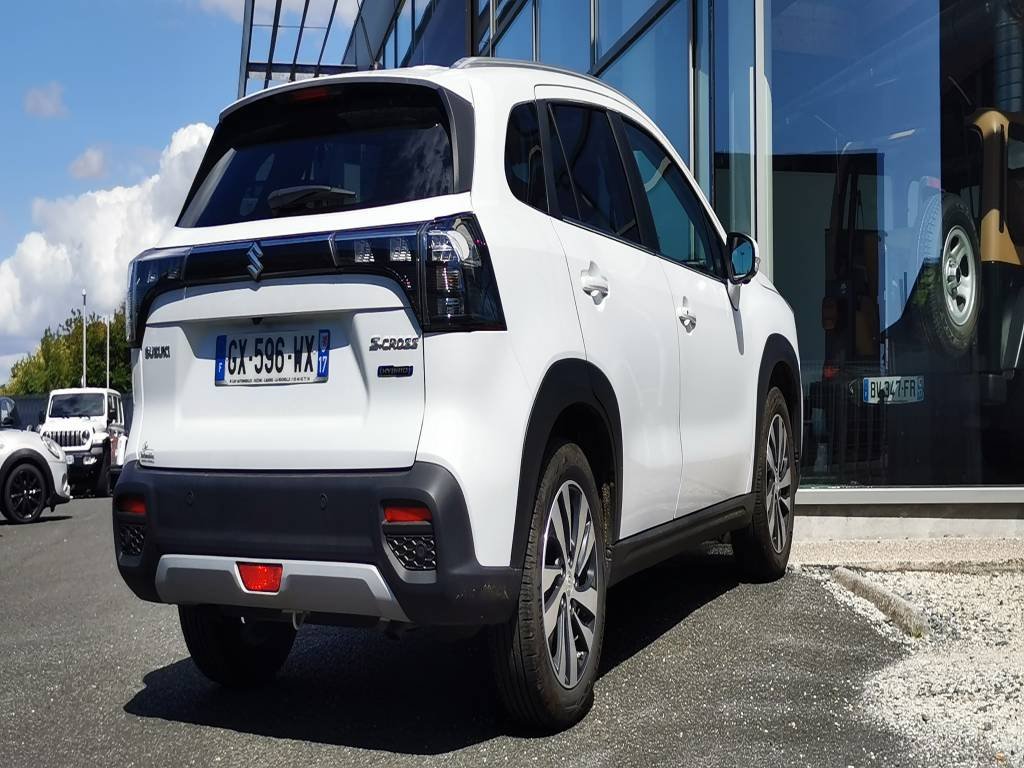 suzuki - Visuel 2