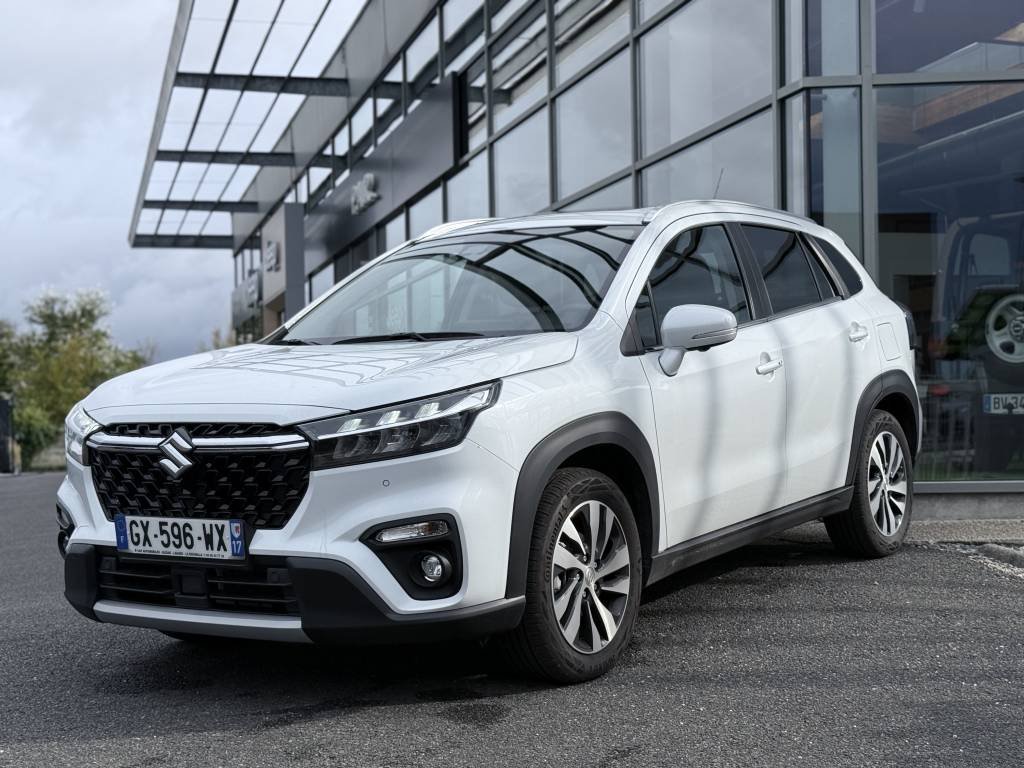 suzuki - Visuel 0