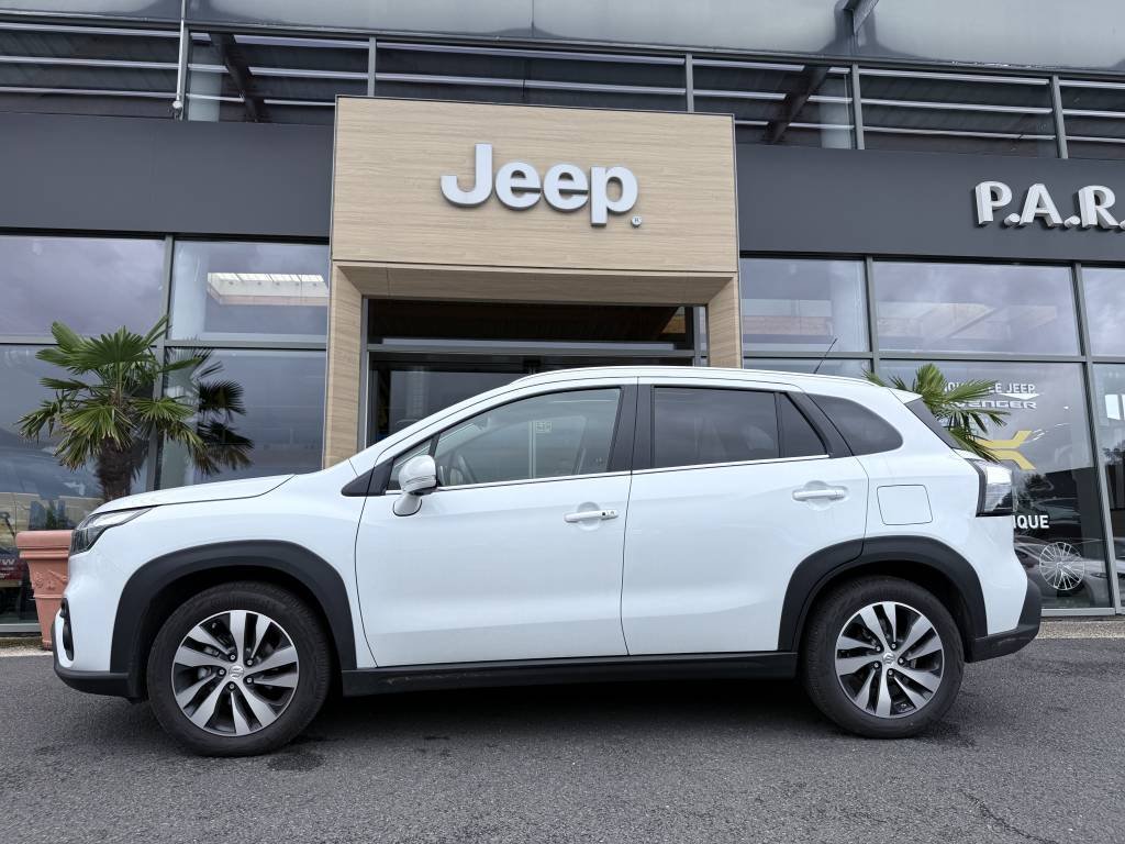 suzuki - Visuel 1