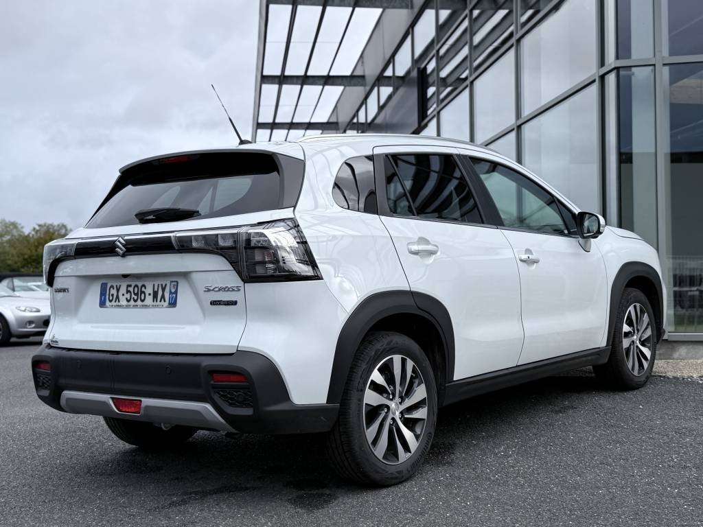 suzuki - Visuel 2